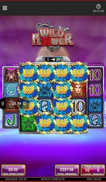Huge Wild Flower Win