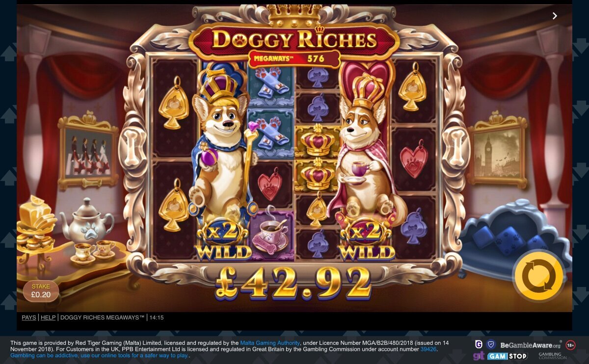 Big Doggy Riches Base Win