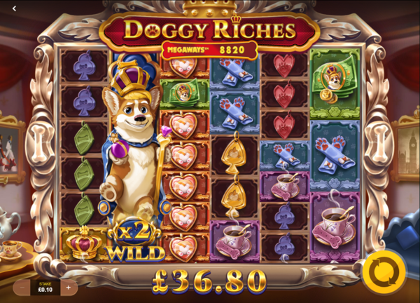 Doggy Riches Big Base Win