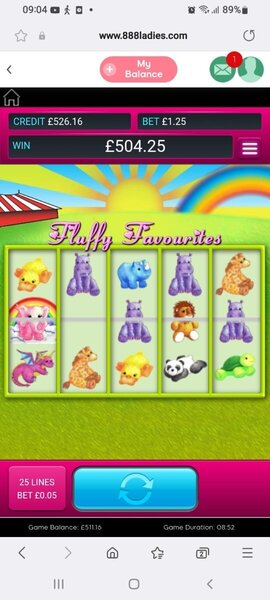 Huge Win on Fluffy Favourites!