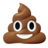 Poo