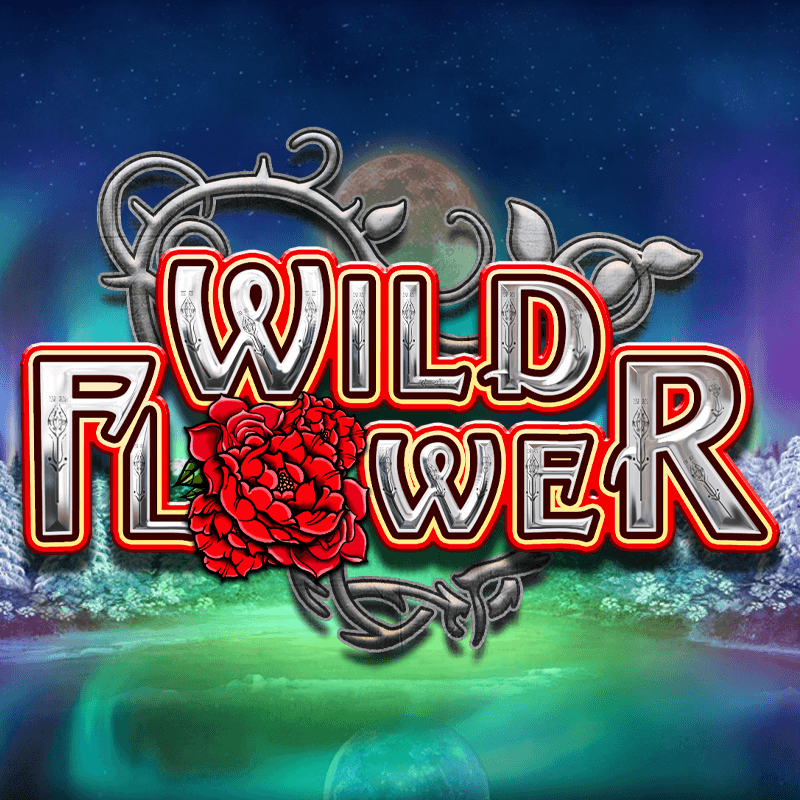 Wild Flower Featured Image