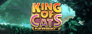 King of Cats Megaways Playerselect™ Live Launch